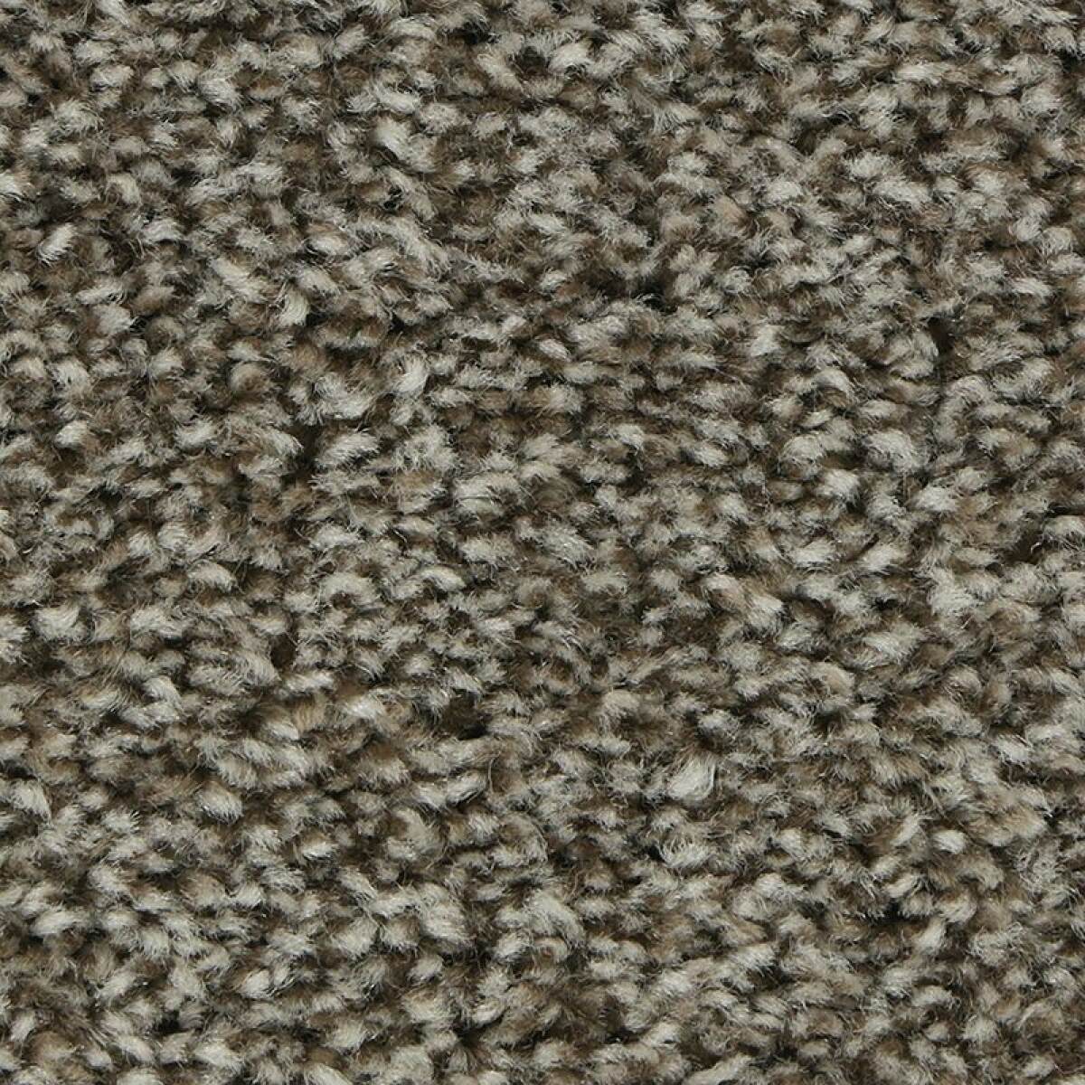 300af410bdbdd850984195f5da862658 Polished Shades I - Image 1