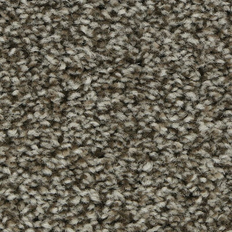 300af410bdbdd850984195f5da862658 Polished Shades I - Image 1