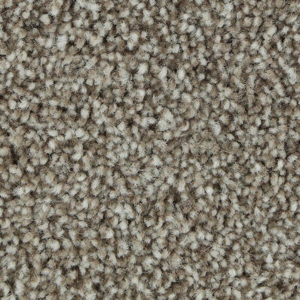 36be254cd8d325c78b3de618e6b557ba Polished Shades II - Image 1
