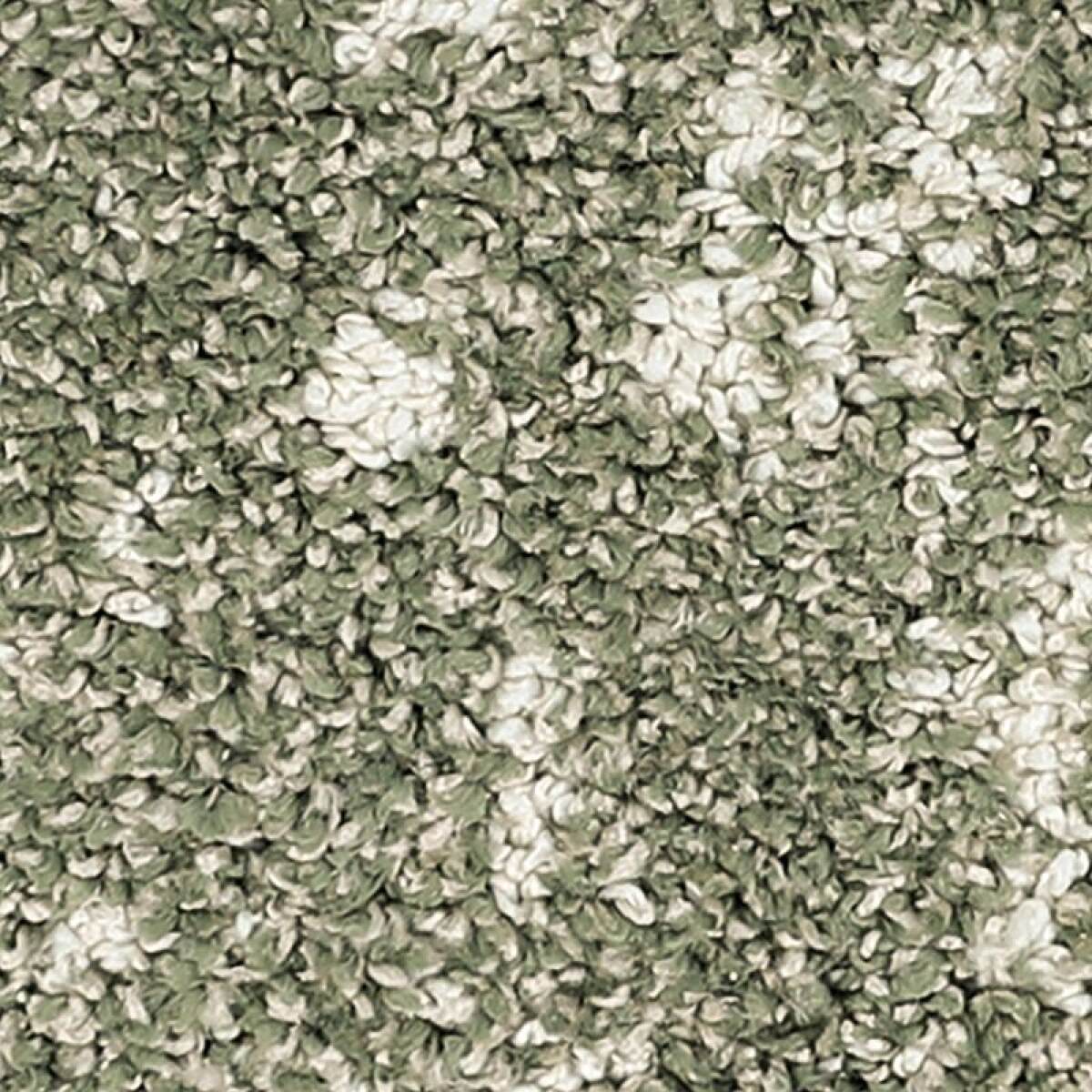 378db1c87e40e7e70a3f07c71e5bf0e4 Bark And Roll - Image 1