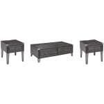 Todoe Coffee Table and 2 End Tables