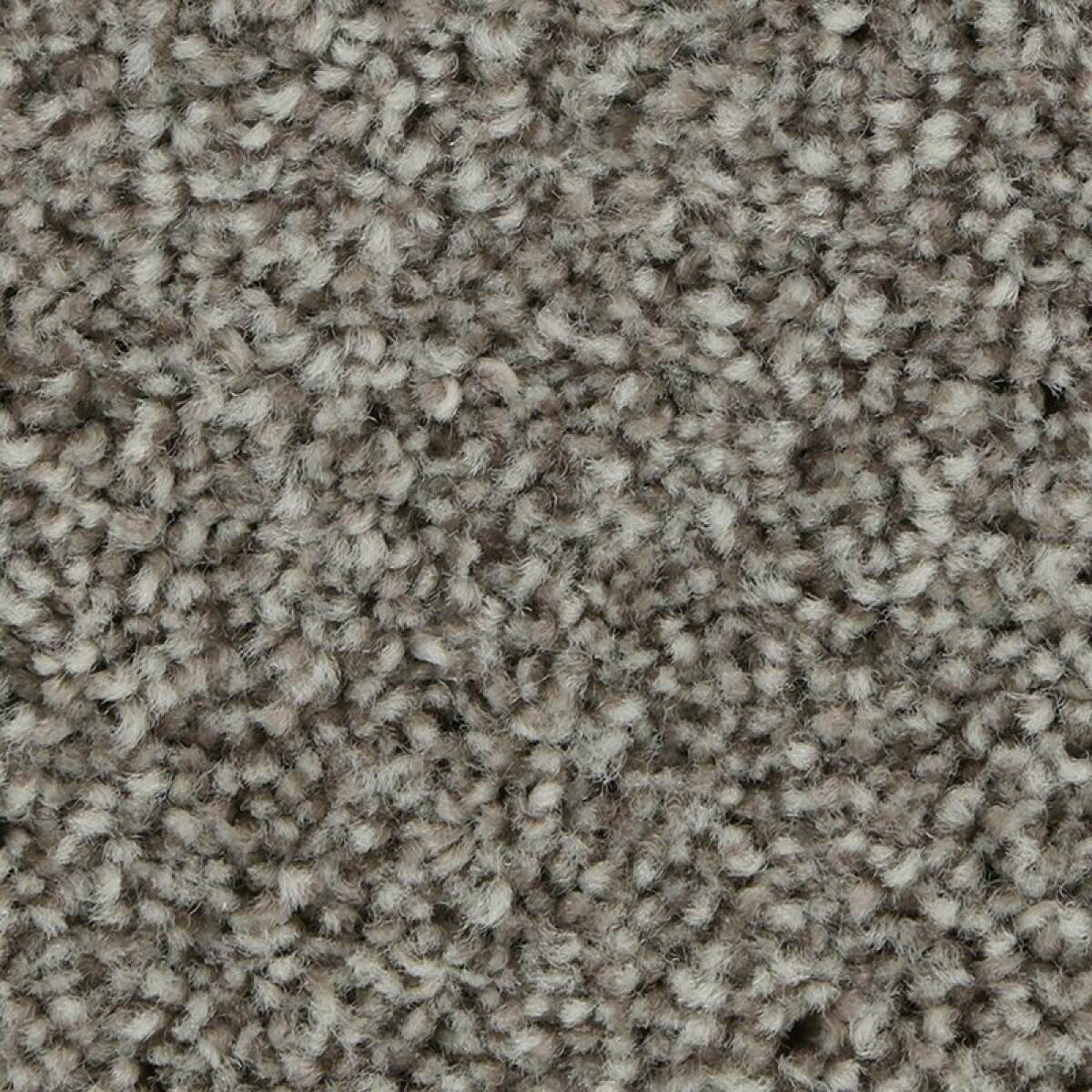 46e62d66ec8cbe09117657b3e9288fdc Polished Shades II - Image 1