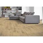 Granbury Oak - Image 3