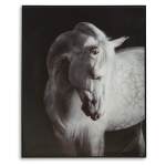 Archerwick Wall Art - Image 2