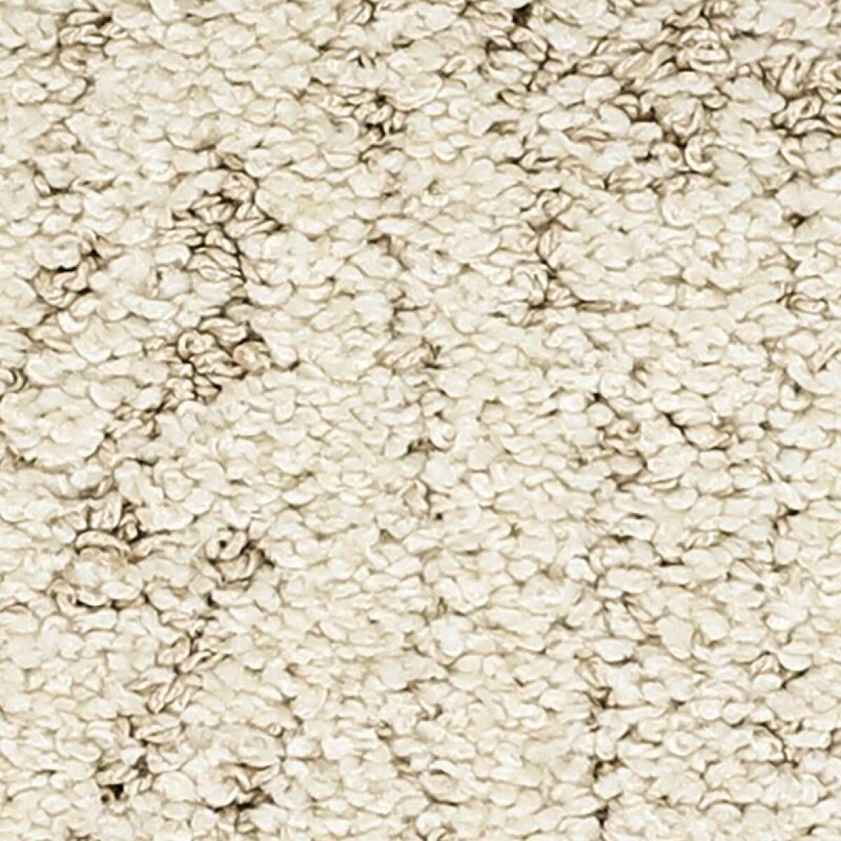 50a3ba3fbe21fd29d5b9ae01bbf188ff Bark And Roll - Image 1