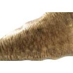 Wystenburg Tray - Image 5