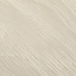 Cypresta - Image 7