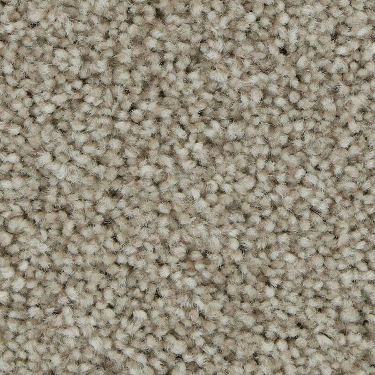 6f4e1f55f508d7e9bbb869770549e585 Polished Shades II - Image 1