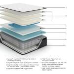 Limited Edition PT King Mattress - Image 3