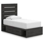 Hollivern Twin Panel Bed with Storage