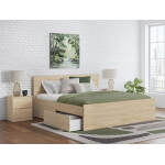 Onita Queen/King Double Drawer Storage