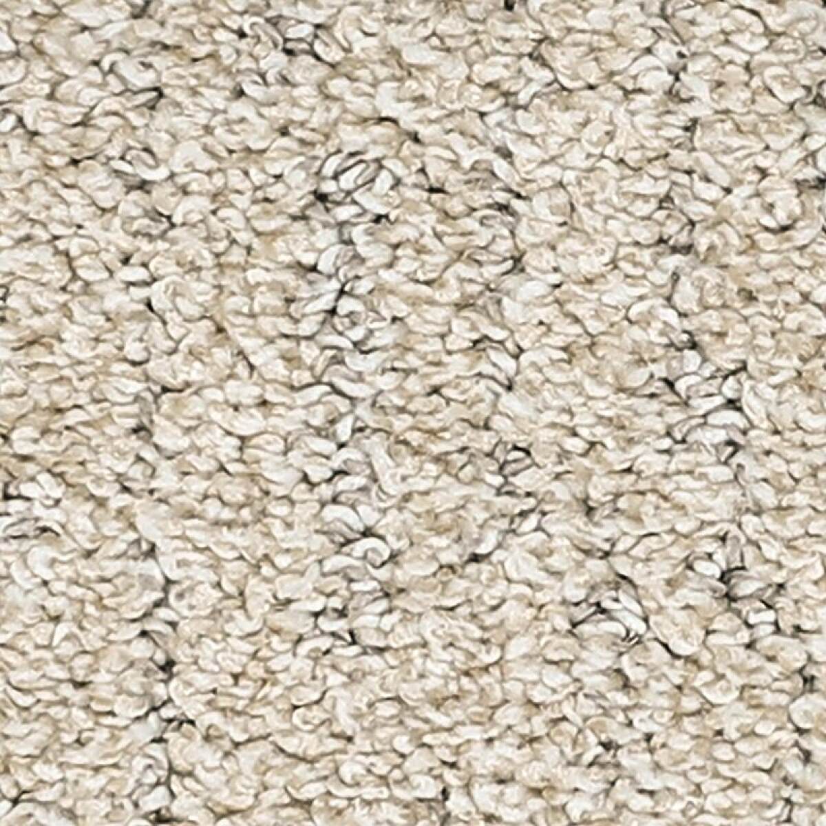 74a7bd54db5cee2ee49e8ed9f4aa8391 Bark And Roll - Image 1