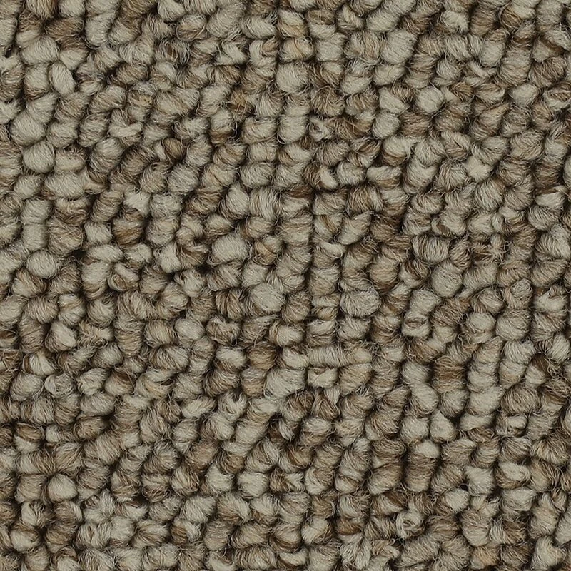 7ae2f6880b1bafda8481b21d95a2ef75 Chic Comfort - Image 1