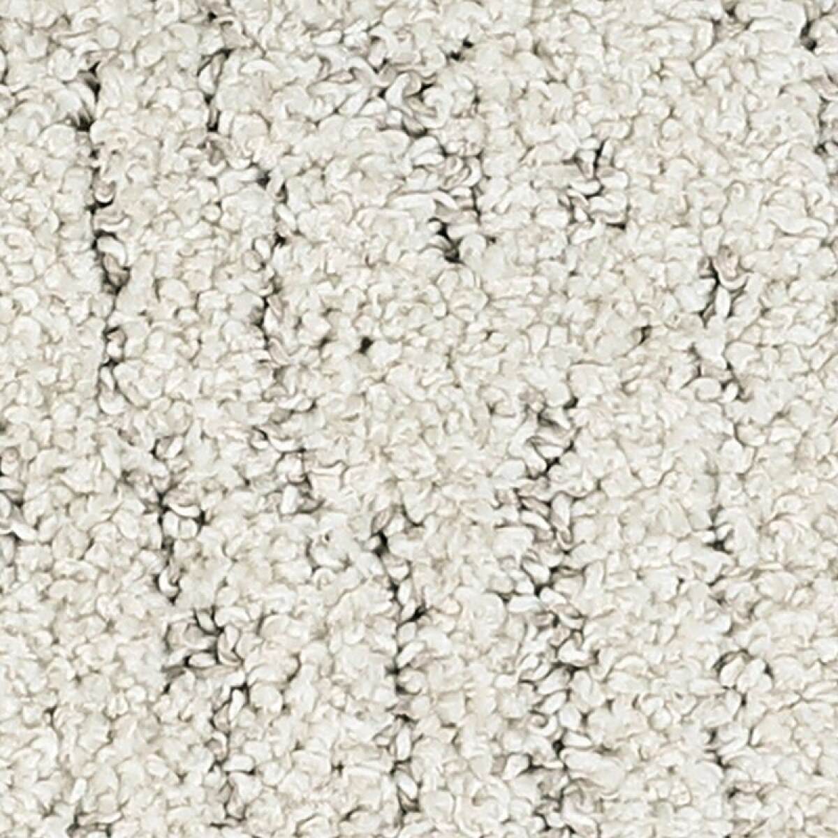 7b2fbb561d33eb016926d54cbc87b37b Bark And Roll - Image 1