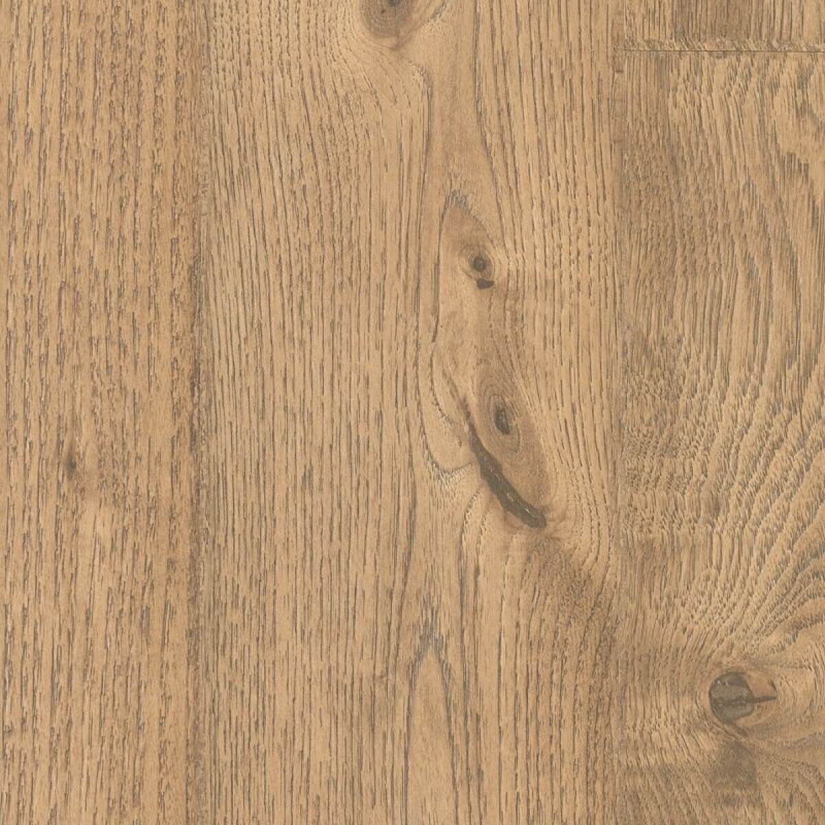 7d118c630f7c2d49189842c14c4de150 Elderwood - Image 1