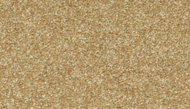 81d3c31ba34b282c67356310f160d9ea Quality Life - Image 1