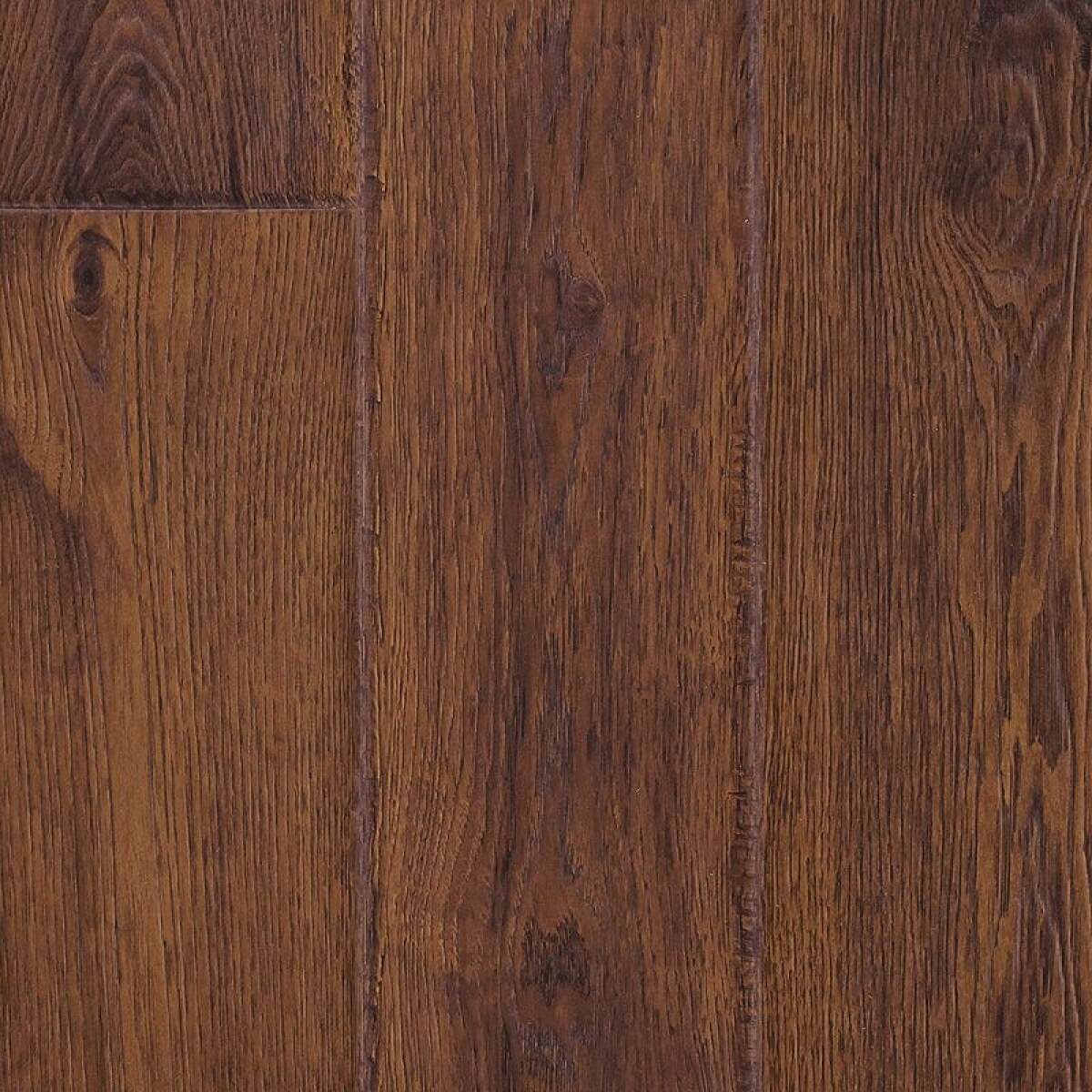 8aae1842069416d27d0975c35e8b3845 Elderwood - Image 1