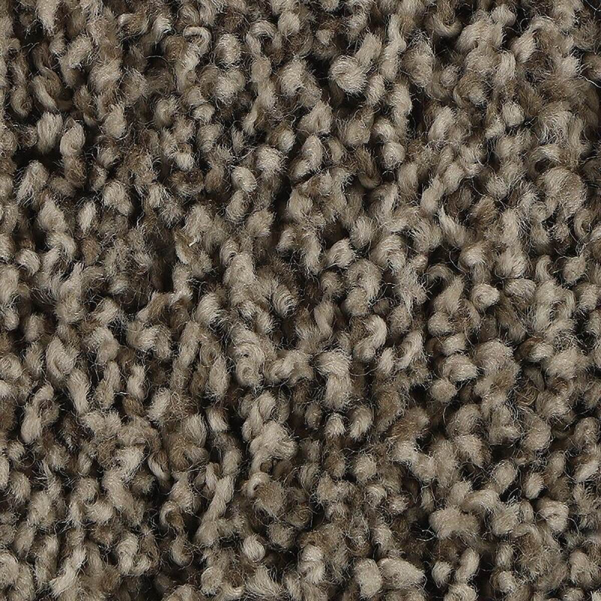 8b1deba1de7a581cea94e019121e6477 Soft Aspect - Image 1