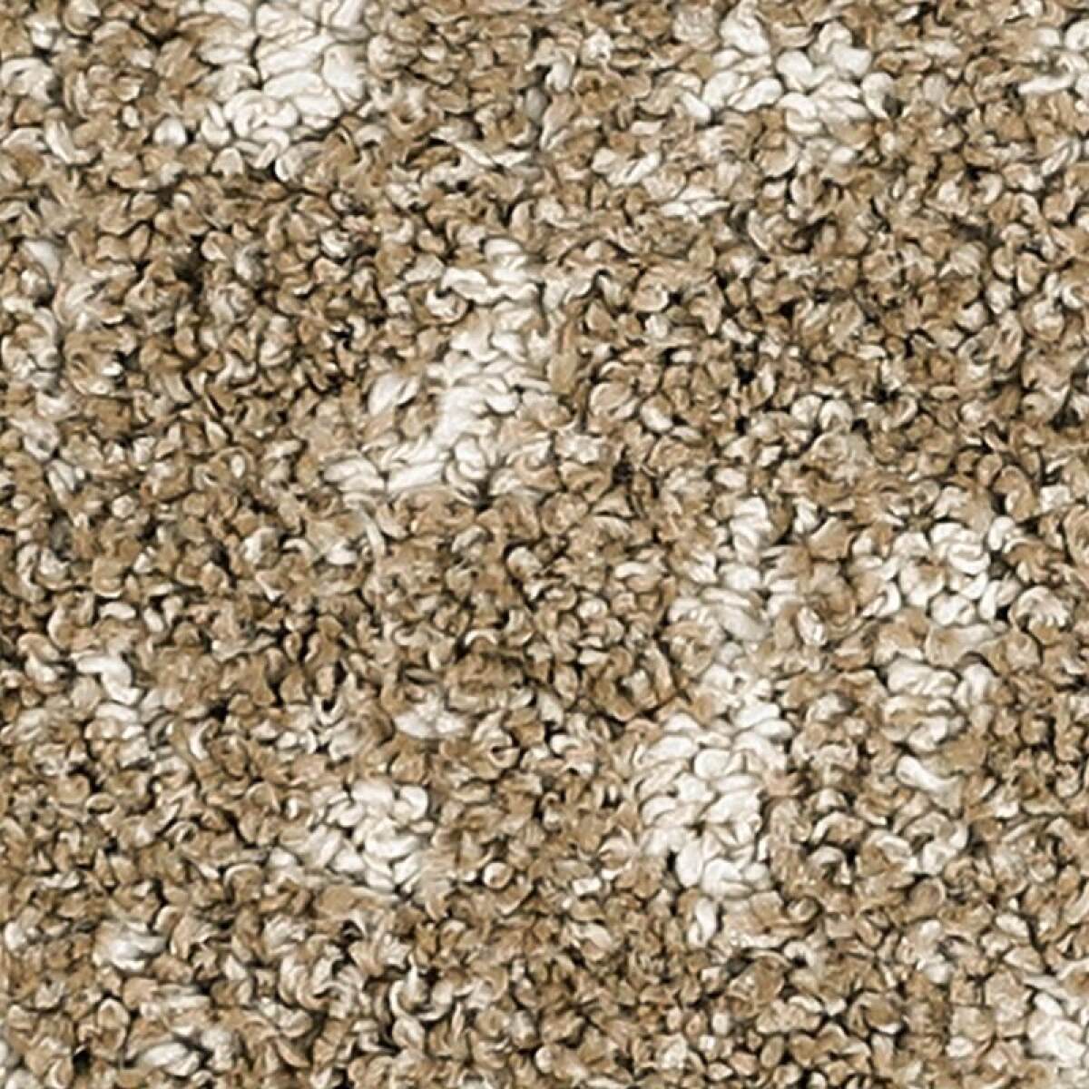 90b03fc60767287ddff34266cccf60ca Bark And Roll - Image 1