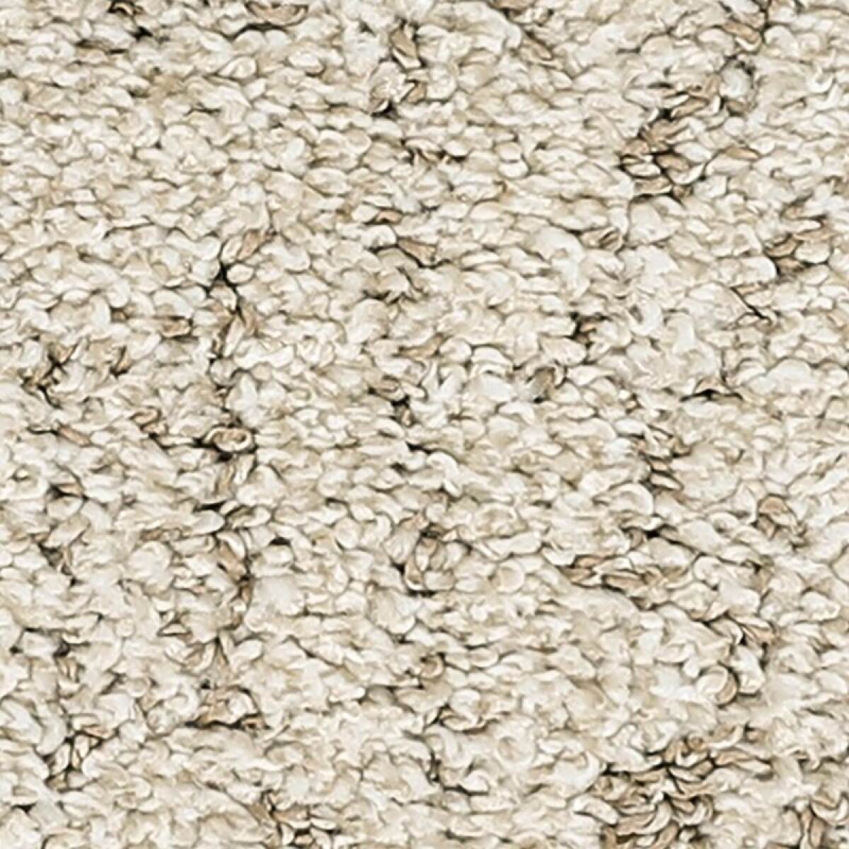 91f1df6e32ed470c963ab022f792f54b Bark And Roll - Image 1