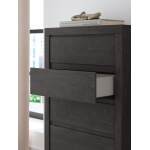 Fraluna Chest of Drawers - Image 11