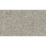 Apricity