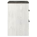 Gerridan King Panel Bed, Dresser, Mirror, Chest, and Nightstand - Image 21