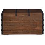 Kettleby Storage Trunk - Image 4