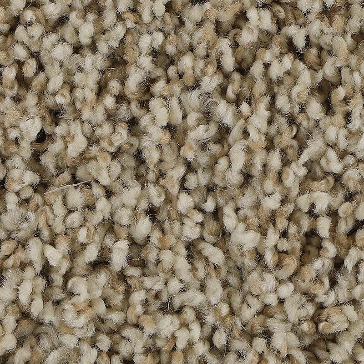 ab3d02f9aa3fc46086f067b41eaa8054 Soft Aspect - Image 1