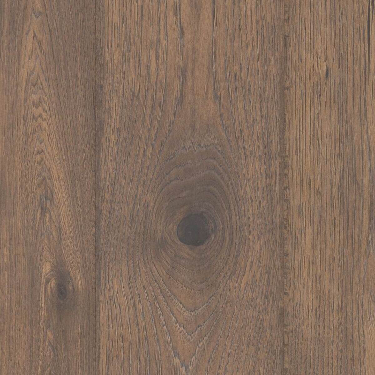 b03adcb8ceced13f8c6fa4ac59199634 Elderwood - Image 1