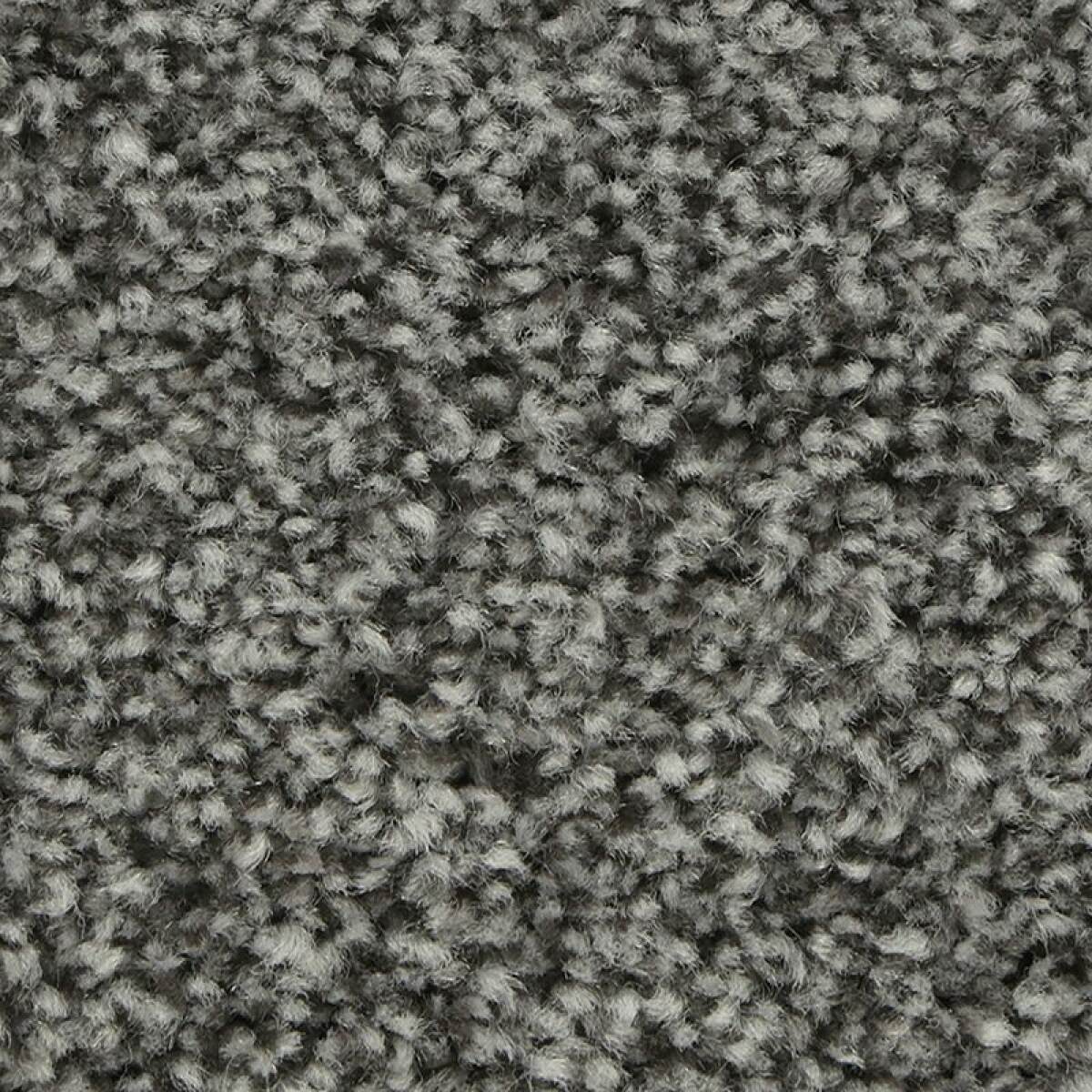 b0c46eb42281fad93c62d79342be571c Polished Shades II - Image 1