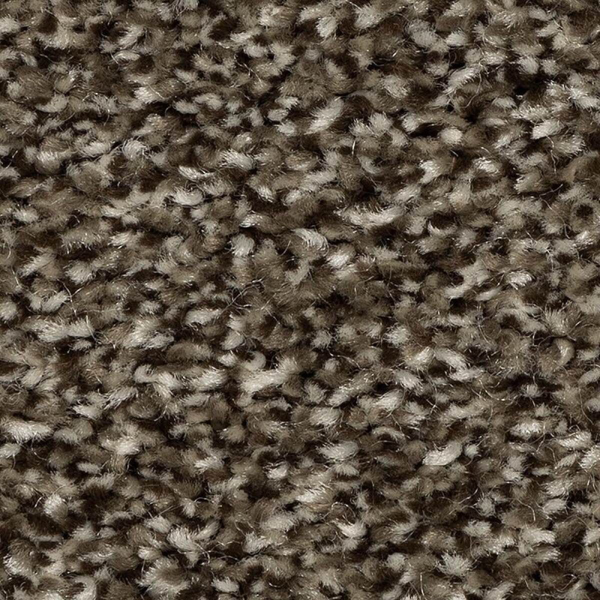 b140621c65e7f22e07faefefd18c5851 Refreshing Shades - Image 1