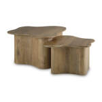 Abeford Accent Coffee Table (Set of 2)