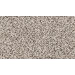 Canine Comfort
