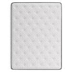 Limited Edition Plush Queen Mattress - Image 5