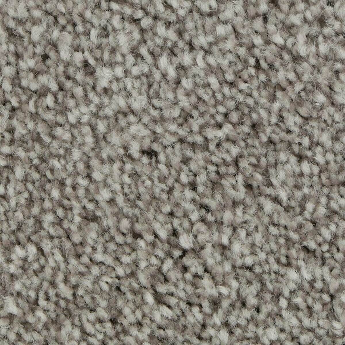 c7fa59743f3667ea24e2342e7c3dba88 Polished Shades II - Image 1