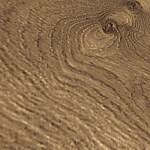 Ivey Gates - Image 8