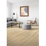 Palm City - Image 3