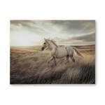 Errolville Wall Art