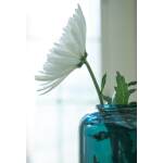 Inisland Vase Set (Set of 2) - Image 8