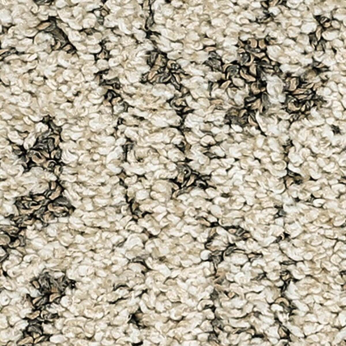 dd910f187df19d4a07b75b509c6aa46a Bark And Roll - Image 1