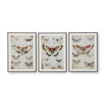 Jossletts Wall Art (Set of 3)