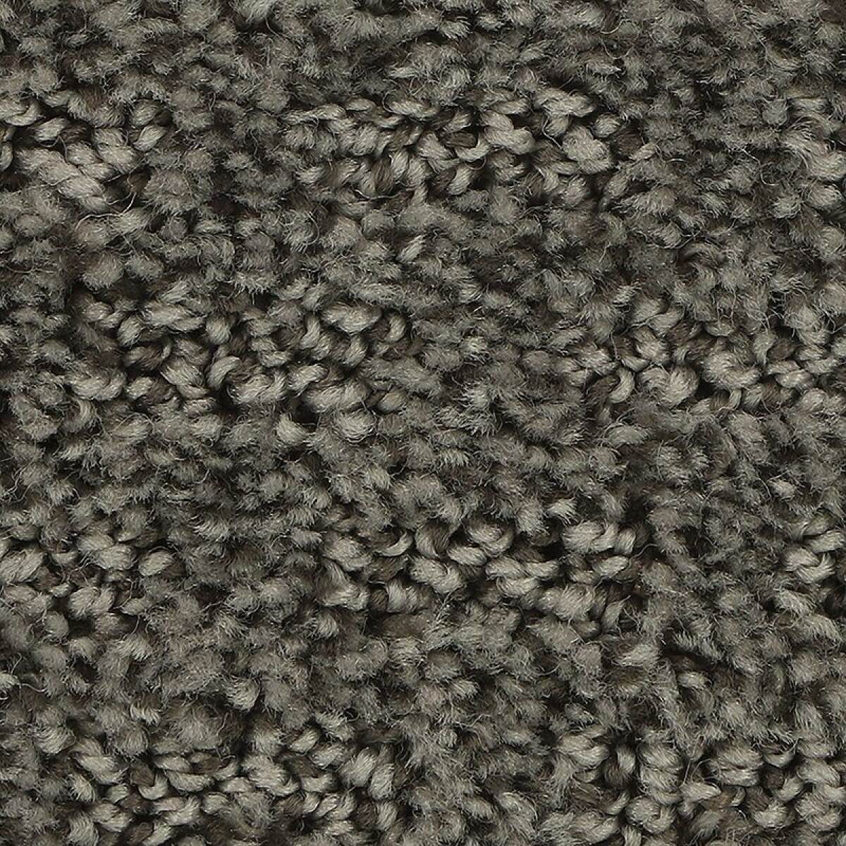 e2636619ea64e6a3439acd35f786b34c Stylish Tones - Image 1
