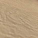 Gardenia Lake - Image 5