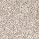 Polished Shades I