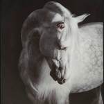 Archerwick Wall Art - Image 7