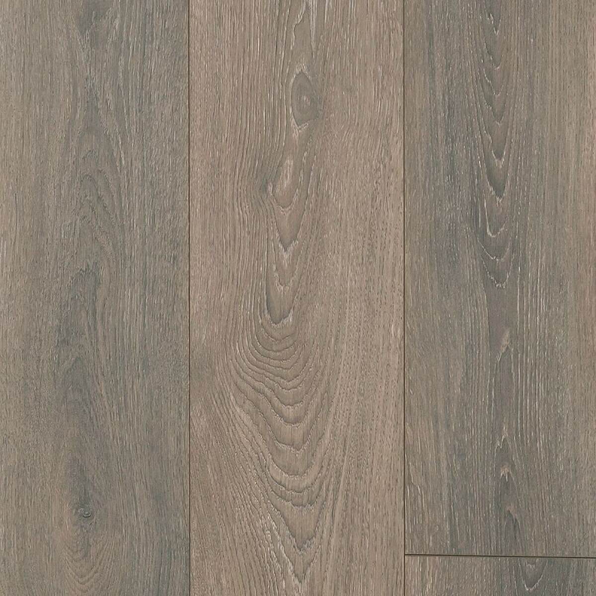 f363353a51a706cc1ad9681dc6017b56 Boardwalk Collective - Image 1