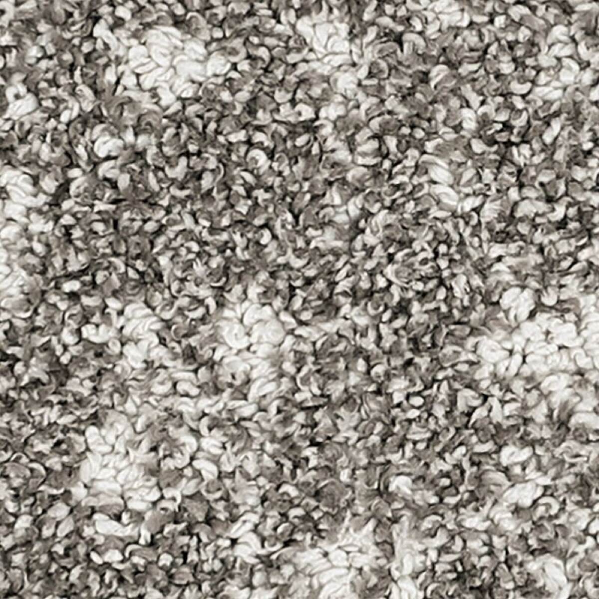 f9fa1b09693b3ede157deebb86190451 Bark And Roll - Image 1