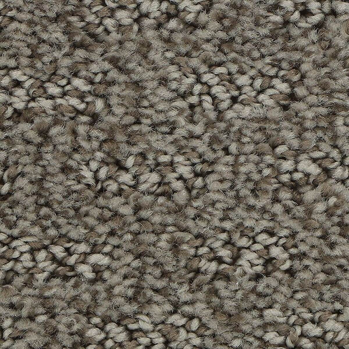 fb77e63d40532c3531ecd2e2fbde4770 Stylish Tones - Image 1