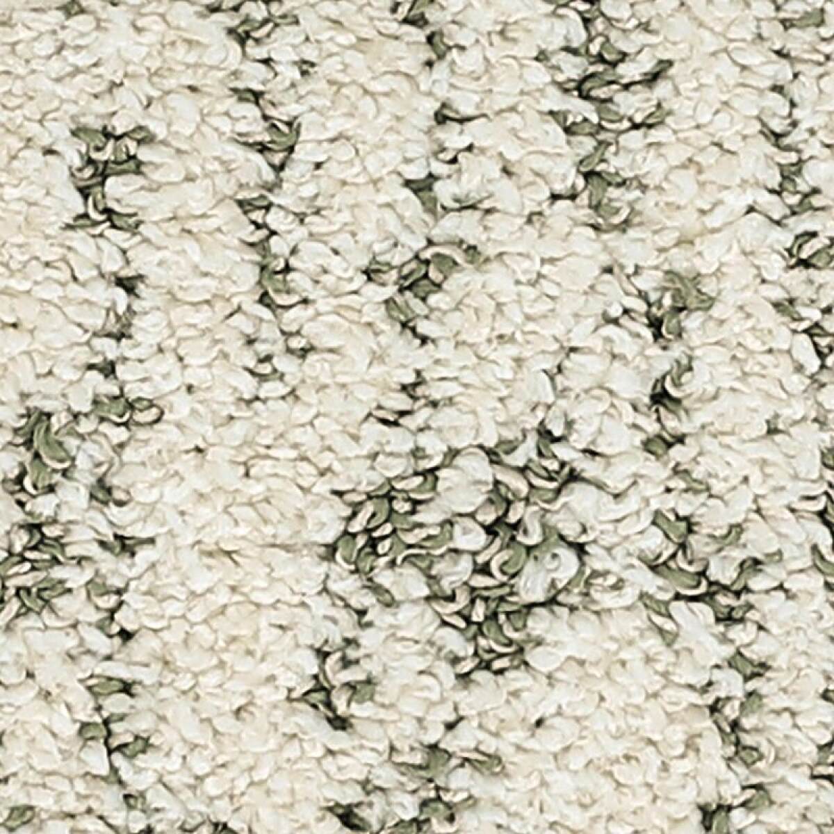 fd993536336c9ca8ce02b05811c256a9 Bark And Roll - Image 1